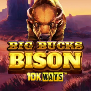 Big Bucks Bison